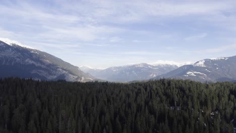 Flug-über-Einen-Wald-In-Der-Schweiz