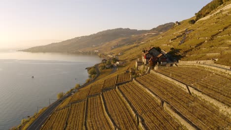 Flying-in-front-of-typical-house-in-Lavaux-vineyard