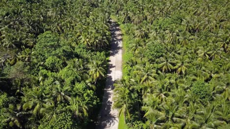 Aerial-tracking-shot-of-scooter-driving-on-palm-tree-lined-road-in-Siargao,-the-Philippines