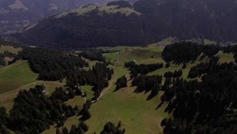Vuelo-Aéreo-Del-Paisaje-Sobre-El-Bosque-En-La-Montaña,-Suiza