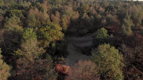 Aerial-of-a-moorland-forest-revealing-a-sand-excavation-in-the-middle-of-the-forest