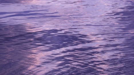 Small-water-waves-at-sunset-in-the-lake