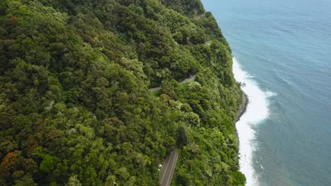 An-aerial-shot-of-Road-to-Hana-showing-lush-forestry-and-a-clue-coast-line