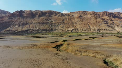 Deadsea-desert-green-after-the-rains,-fly-over,-red-mountain-background