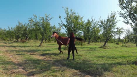 Girl-is-teaching-young-horse-to-walk-in-circle,-long-shot---Bulgaria