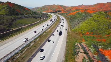 Aerial-low-level-pan-of-the-super-bloom-of-golden-poppies-by-Lake-Elsinore-California-and-Walker-Canyon-by-the-I15