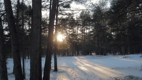 sun-piercing-trhough-the-trees-in-the-forest-during-winter-with-snow,-crane-like-shot-right-up