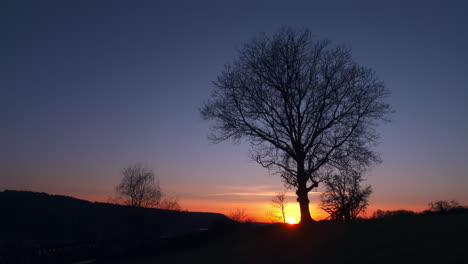 Sonnenuntergangszeitraffer,-Baumsilhouette