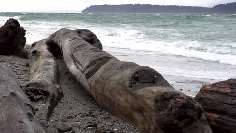 Rough-waves-of-Puget-Sound-in-Washington-State,-USA-roll-and-splash-against-driftwood-a-rocky-beach-during-a-winter-storm