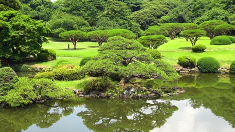 Zoom-out-the-view-of-the-lake-with-tree-reflection-in-shinjuku-gyoen-national-garden
