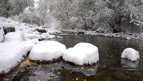 Snow-falling-in-slow-motion-in-the-Boulder-Creek,-Boulder,-Colorado