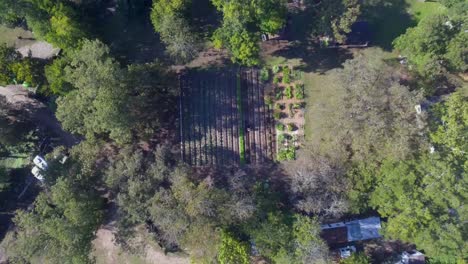 Luftaufnahme:-Langsame-Vogelperspektive-Auf-Eine-Farm-In-Austin,-Texas,-Wo-Ein-Arbeiter-Erde-Auf-Grünreihen-Verteilt