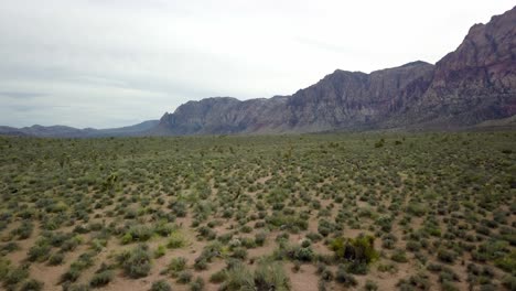 Schneller-Luftabzug-Des-Wüstenbodens-Am-Red-Rock-Canyon-In-Nevada