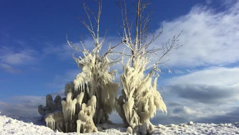 Weitwinkelaufnahme-Einer-Verwitterten-Winterszene-Am-Seeufer-Mit-Windgepeitschten-Gefrorenen-Bäumen-Und-Langsam-Ziehenden-Wolken