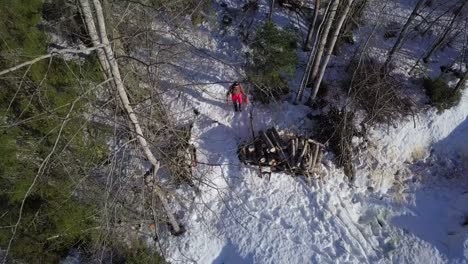Aerial,-man-cutting-trees-in-the-woods,-walking-through-the-forest,-chainsaw-and-axe