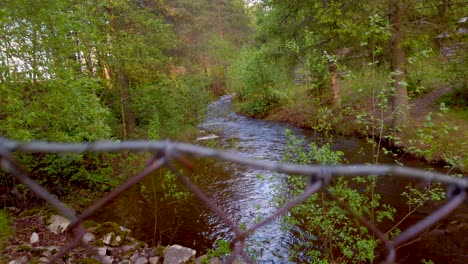 Wasserlauf-Im-Wald-Im-Kreis-Hedmark-In-Norwegen