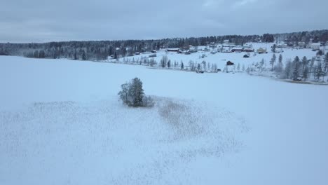 Der-Zugefrorene-See-Und-Wald-In-Der-Nähe-Von-Borgvattnet,-Schweden