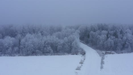 Luftaufnahme-Des-Waldes-Im-Winter