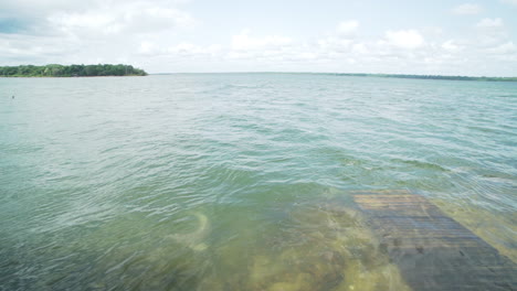 Wide-shot-of-river-dolphin--in-amazonian-river