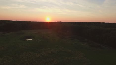 Antenne:-Naturschutzgebiet-Oranjezon-Während-Des-Sonnenuntergangs