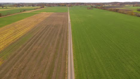 Aerial-view-of-empty-dirt-road-going-through-big-green-field