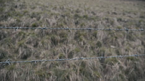 Barbed-wire-on-a-fence