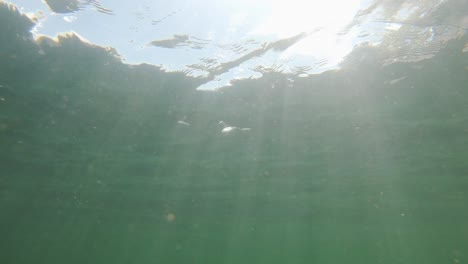 Unterwassersonnenstrahlen-Und-Wellen-Im-Türkisfarbenen-See-In-Kanada,-Weicher-Fokus