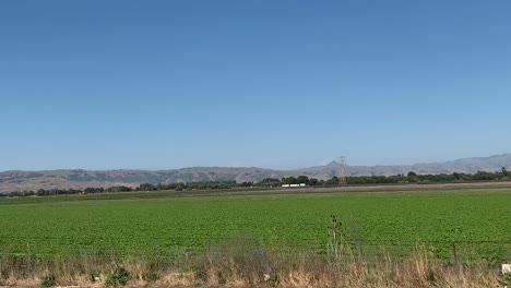 Driving-past-large-acres-of-commercial-strawberry-fields-in-Northern-California's-highway-101
