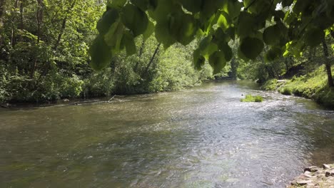 Der-Flusslauf,-Umgeben-Von-Wunderschöner-Natur-Und-Bäumen