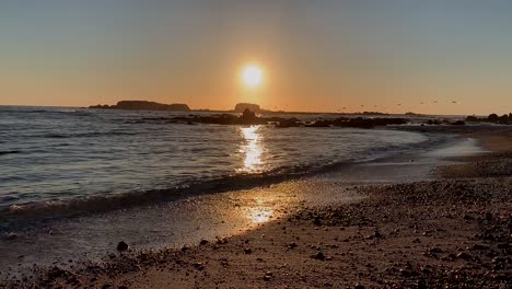 Strand-Sonnenuntergang-Hintergrund-Mit-Wilden-Vögeln,-Die-Zügellos-Fliegen-Und-In-Der-Ferne-Nach-Fischen-Tauchen