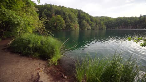Shoreline-in-Plitvice-lakes-in-the-Park-in-Croatia