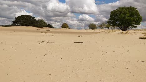 Erosión-Debido-Al-Sobrepastoreo-Con-Desertificación-Como-Resultado