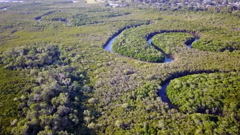 Low-aerial-footage-of-mangroves-and-Halfmoon-Creek-at-Yorkeys-Knob,-near-Cairns,-Queensland,-Australia