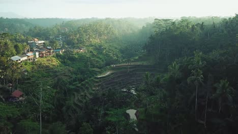 Filmische-Drohnenaufnahme,-Die-Während-Der-Sonnenaufgangsstunden-Durch-Den-Bali-Dschungel-über-Die-Reisterrassen-Fliegt