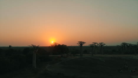 Luftdrohnenansicht-Des-Sonnenuntergangs-An-Der-Baobab-Allee-In-Madagaskar