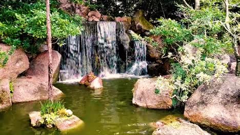 Una-De-Las-Muchas-Hermosas-Cascadas-Ubicadas-En-El-Jardín-Japonés-Morikami