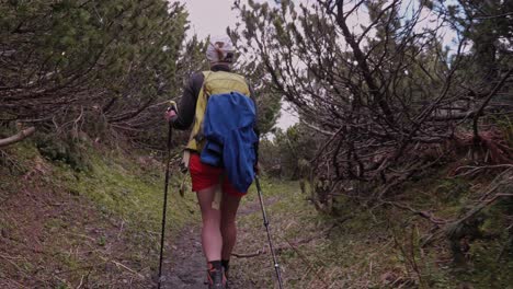Chica-Turista-Caminando-Por-Los-Pinos-Enanos-En-Un-Bosque-De-Gran-Altitud-En-Eslovaquia,-Sigue-El-Tiro