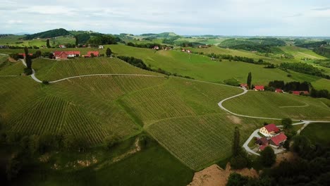 Aerial-landscape-shot-of-vineyards-on-hills-slovenia-europe