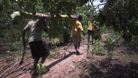 Niños-Que-Llevan-Troncos-De-Plátano-Del-Jardín-Local-Utilizados-Para-Construir-Kayak-Tradicional-En-El-Nacimiento-Del-Río-Nilo,-Uganda