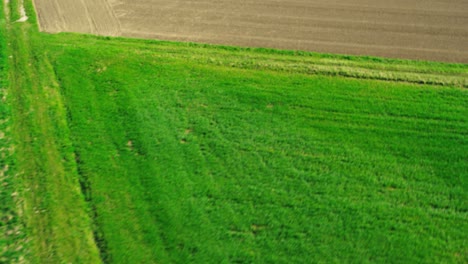 Aerial-shot-of-grass-and-wheat-fields