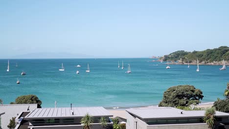 SLOWMO---Panning-shot-of-beach-houses-with-many-sailboats-in-bay-on-Waiheke-Island,-New-Zealand