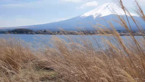 Vista-Del-Paisaje-Natural-De-La-Montaña-Volcánica-Fuji-Con-El-Lago-Kawaguchi-En-Primer-Plano-4k-Uhd-Video-Filmación-Corta