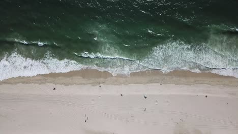 Top-Down-Aerial-Shot-Of-Foamy-Green-Waves-Of-half-moon-bay-beach-people-hold