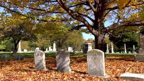 autumn-leaves-and-old-headstones-4k