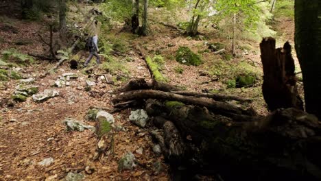 Hombre-Caminando-Por-El-Desfiladero-De-Pokljuka-En-Eslovenia-Durante-La-Primavera-En-El-Parque-Nacional-Triglav