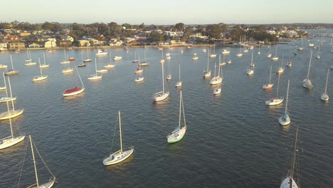 Aerial-view-over-lots-of-sailing-yachts-moored-off-of-the-coast-of-Sydney