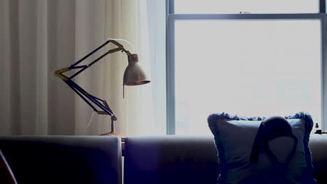 sunlight-coming-through-the-window_lamp,-pillow,-couch,-bra