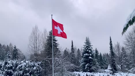Schweizer-Flagge-Im-Winterschnee-Der-Schweizer-Alpen