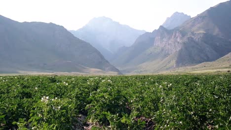 Hermosa-Naturaleza-Del-Valle-En-Las-Montañas-De-Kirguistán