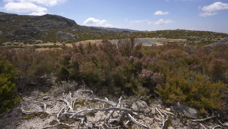 Trockene-Lagunenlandschaft-In-Serra-Da-Estrela,-Portugal